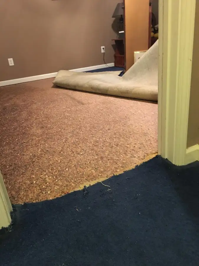 Carpet pad removal revealing water damage during Drying & Dehumidification in Upper Merion