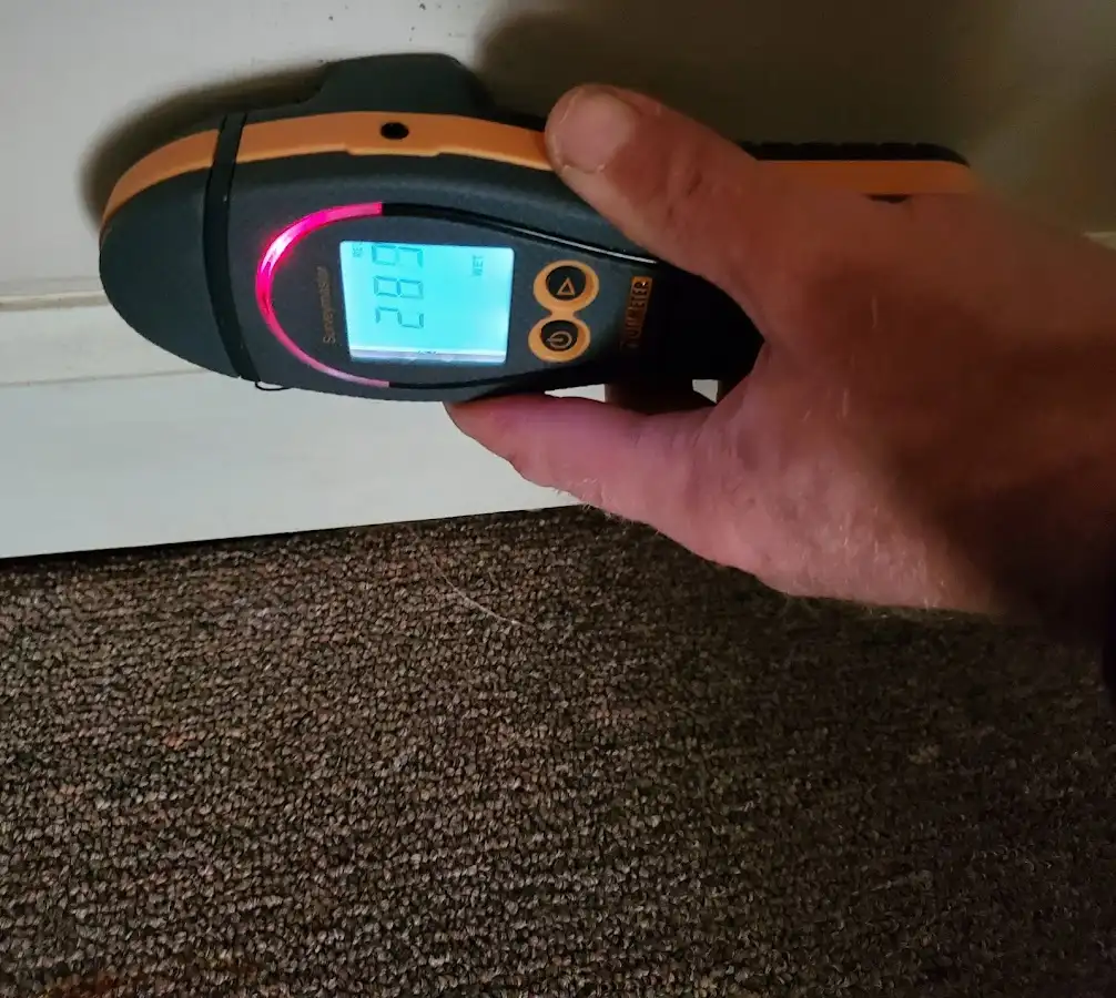 Moisture detection at baseboard during Mold Inspection & Testing in Upper Merion